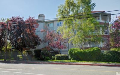 1807 Oak Bay Ave